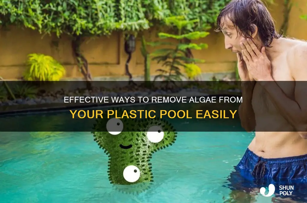 how to remove algae from plastic pool