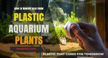 Effective Tips to Remove Algae from Plastic Aquarium Plants Easily