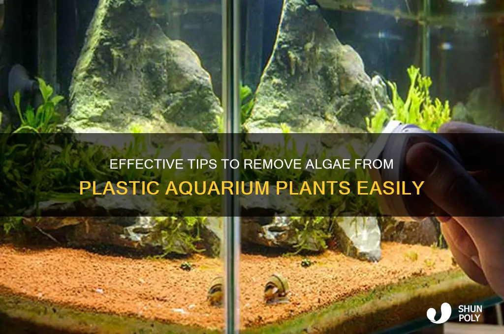 how to remove alge from plastic aquarium plants
