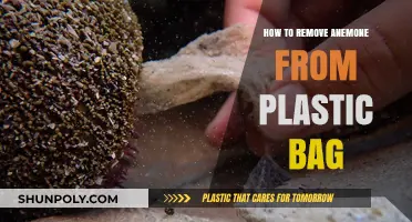 Safely Removing Anemones from Plastic Bags: A Step-by-Step Guide