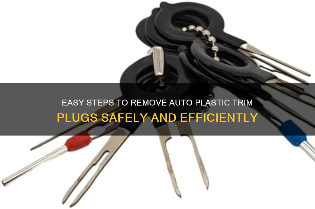 how to remove auto plastic trim plugs