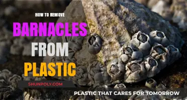 Effective Methods to Remove Barnacles from Plastic Surfaces Easily
