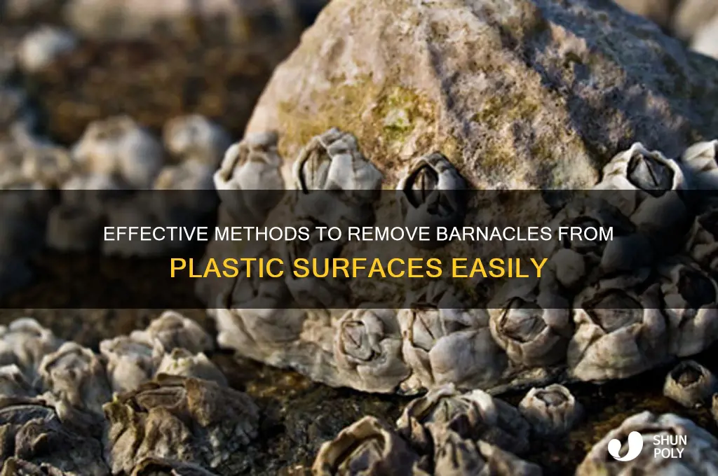 how to remove barnacles from plastic