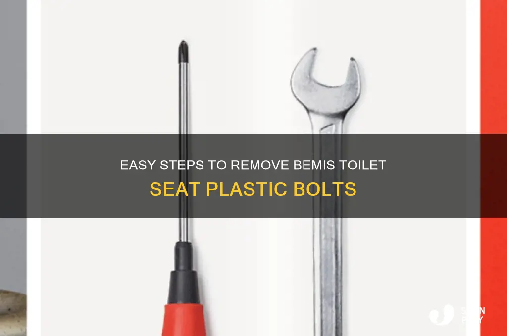 how to remove bemis toilet seat plastic bolts