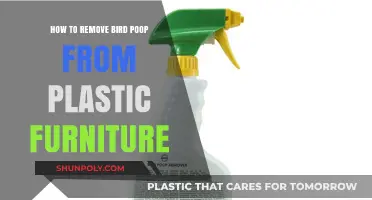 Effective Tips for Cleaning Bird Poop Off Plastic Furniture Easily