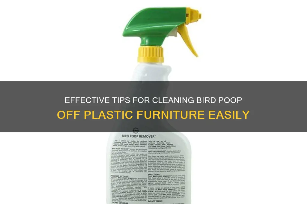 how to remove bird poop from plastic furniture