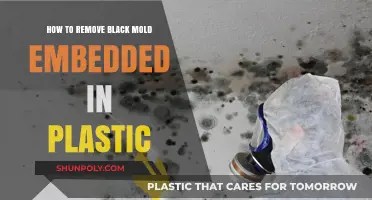 Effective Methods to Remove Embedded Black Mold from Plastic Surfaces