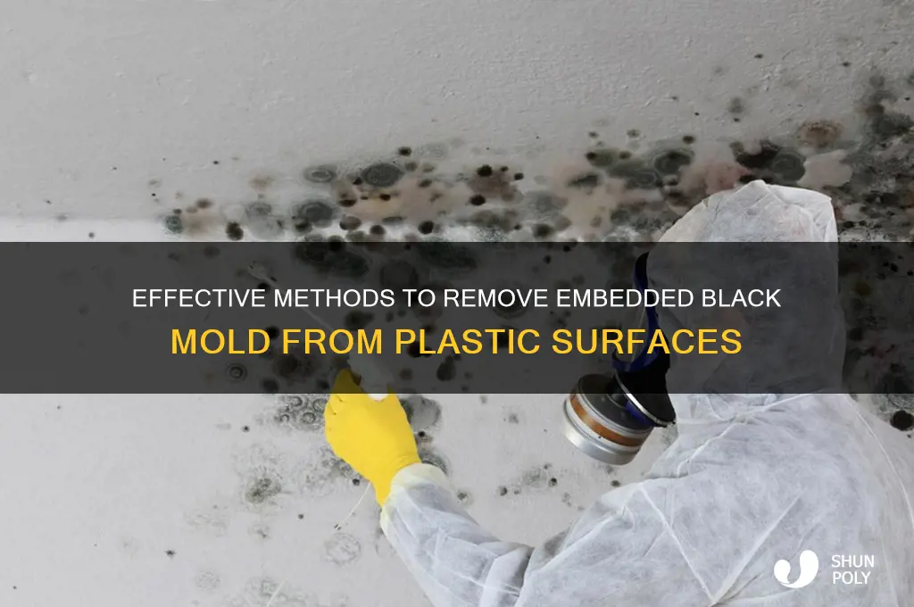 how to remove black mold embedded in plastic