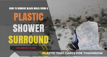 Effective Ways to Eliminate Black Mold from Plastic Shower Surrounds