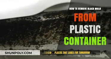 Eradicating Black Mold from Plastic Containers