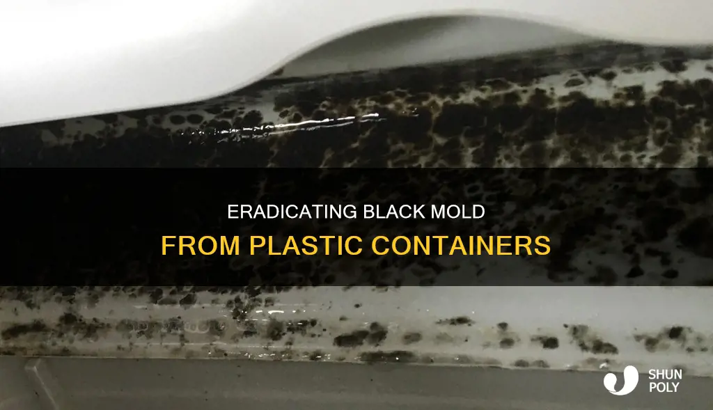 how to remove black mold from plastic container