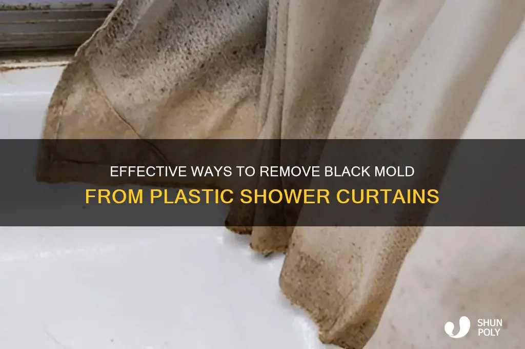 how to remove black mold from plastic shower curtain