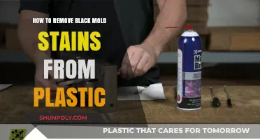 Effective Ways to Remove Black Mold Stains from Plastic Surfaces