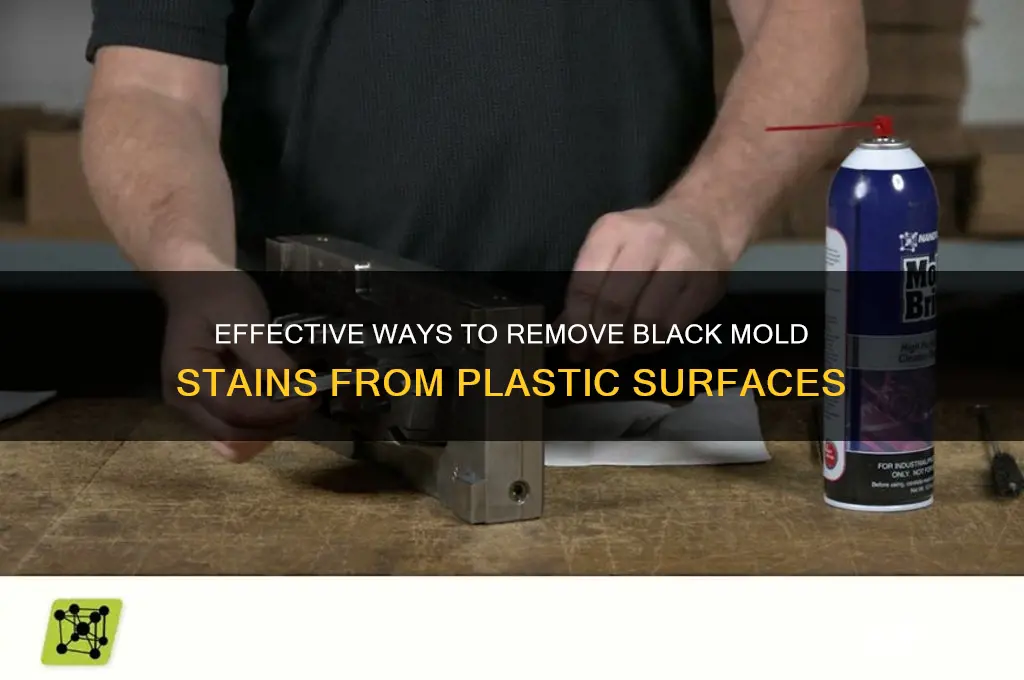 how to remove black mold stains from plastic