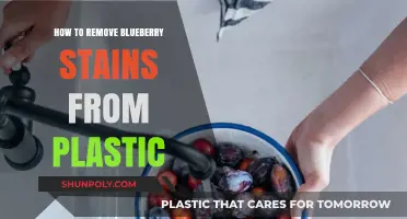 Effective Tips to Remove Blueberry Stains from Plastic Surfaces