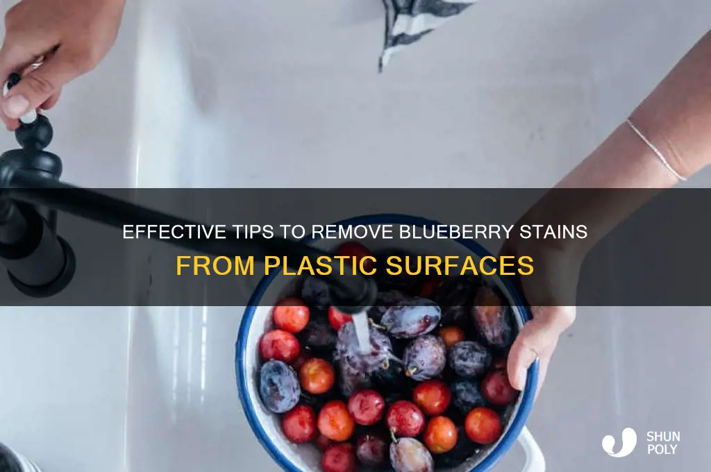 how to remove blueberry stains from plastic