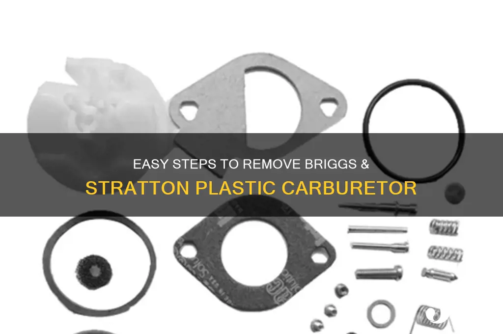 how to remove briggs and stratton plastic carburetor