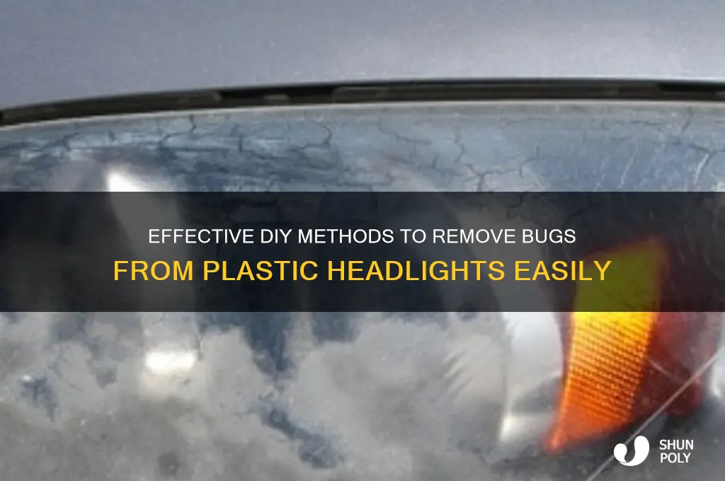 how to remove bugs from plastic headlights