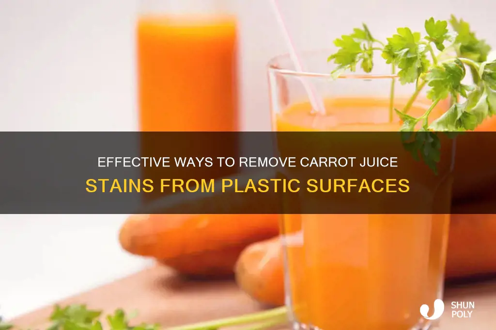 how to remove carrot juice stain from plastic