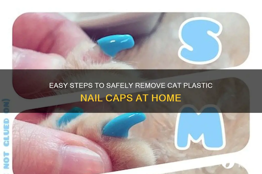 how to remove cat plastic nail caps