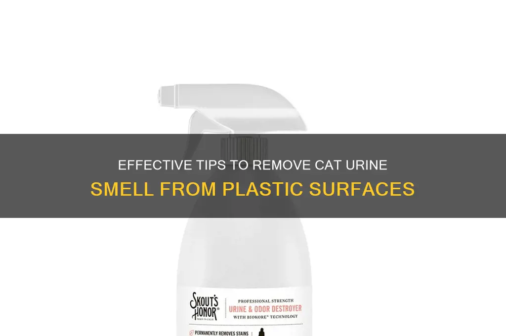 how to remove cat urine from plastic
