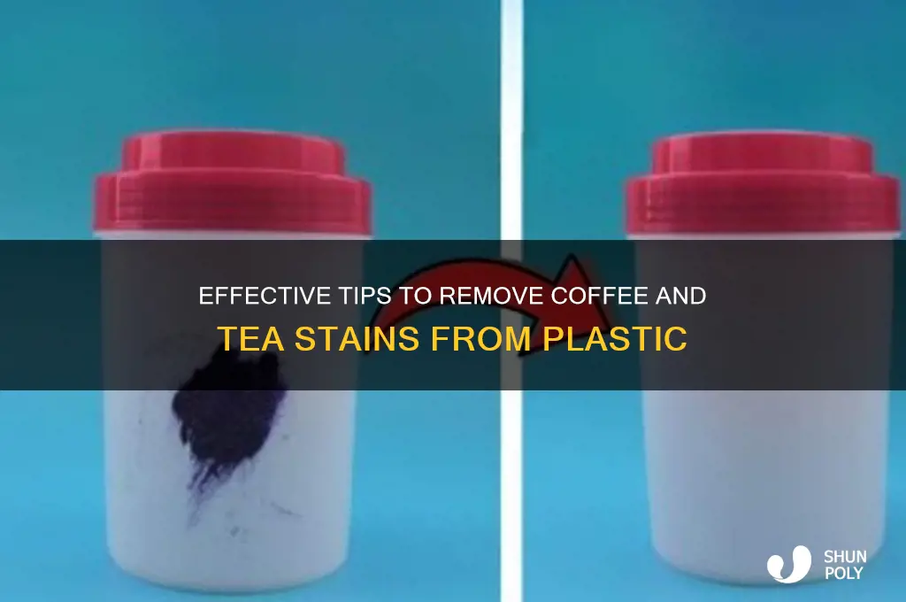 how to remove coffee and tea stains from plastic