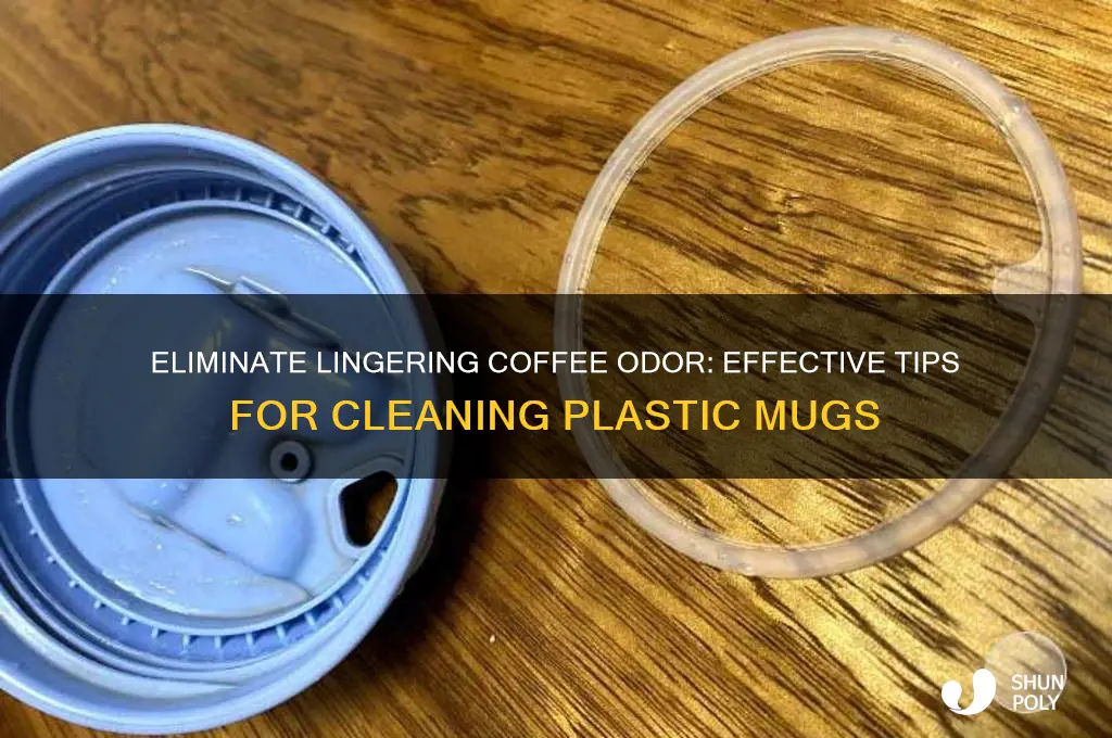 how to remove coffee smell from plastic mug