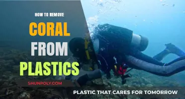Effective Methods to Safely Remove Coral from Plastic Surfaces