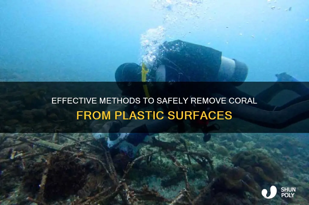 how to remove coral from plastics