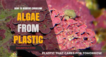 Effective Techniques for Removing Coralline Algae from Plastic Surfaces