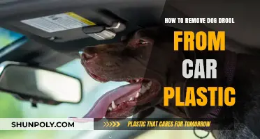 Quick Tips to Clean Dog Drool Off Car Plastic Surfaces