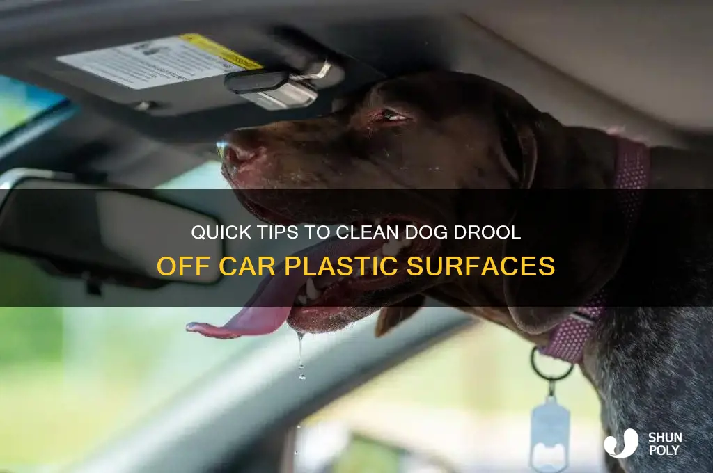 how to remove dog drool from car plastic