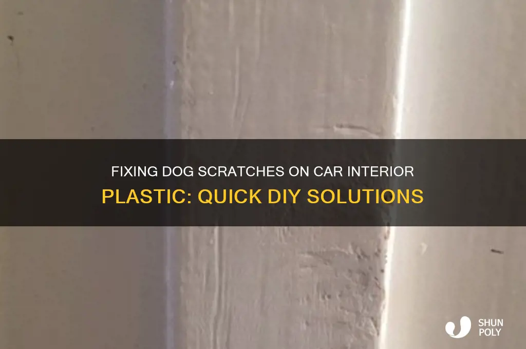 how to remove dog scratches from car interior plastic