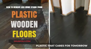 Effective Tips to Remove Dog Urine Stains from Plastic Wooden Floors