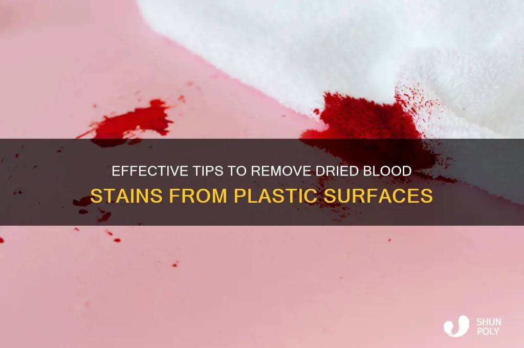 how to remove dried blood stains from plastic