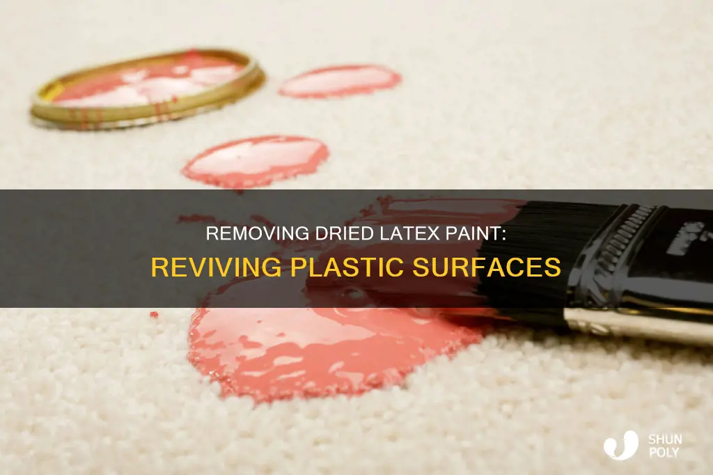 how to remove dried latex paint from plastic