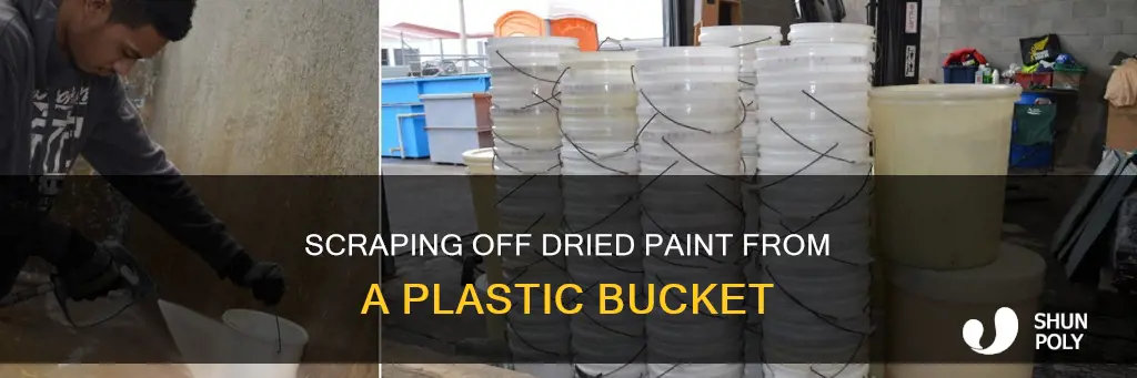 how to remove dried paint from plastic bucket
