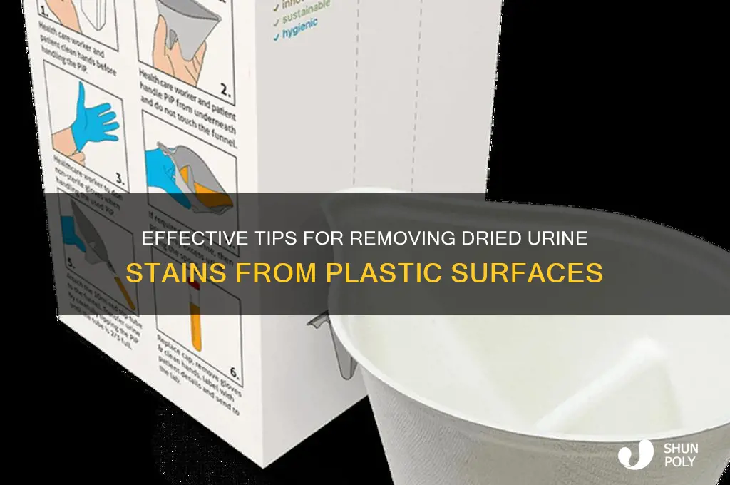 how to remove dried urine from plastic