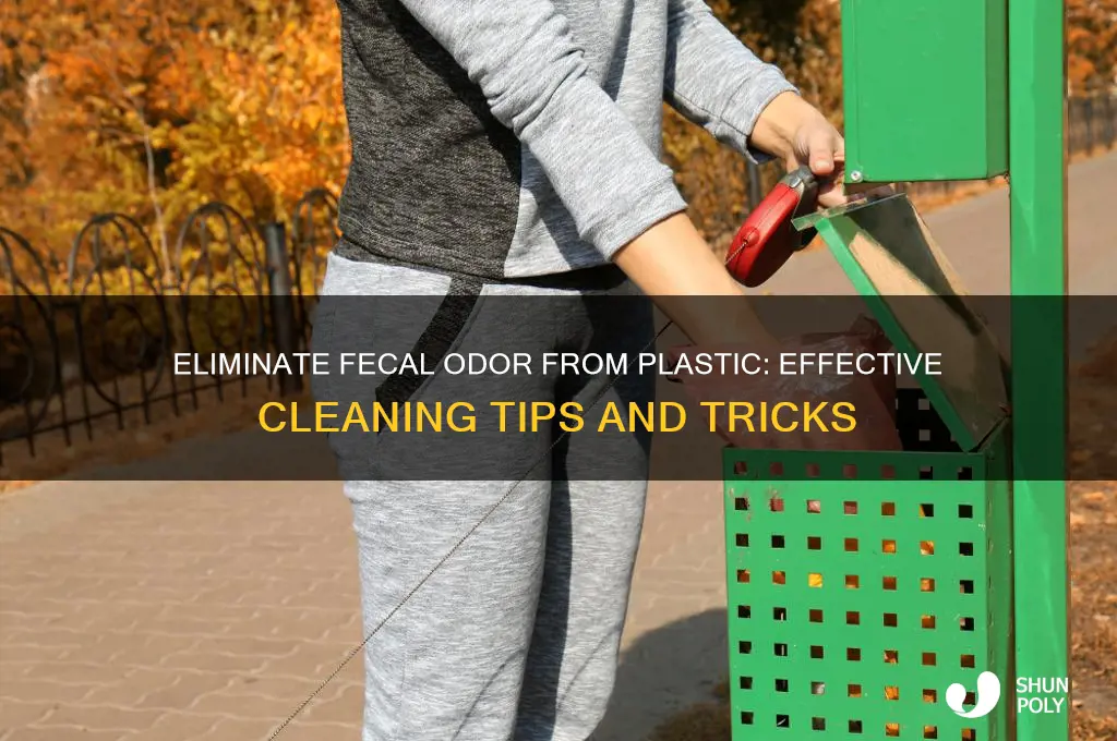 how to remove fecal smell from plastic