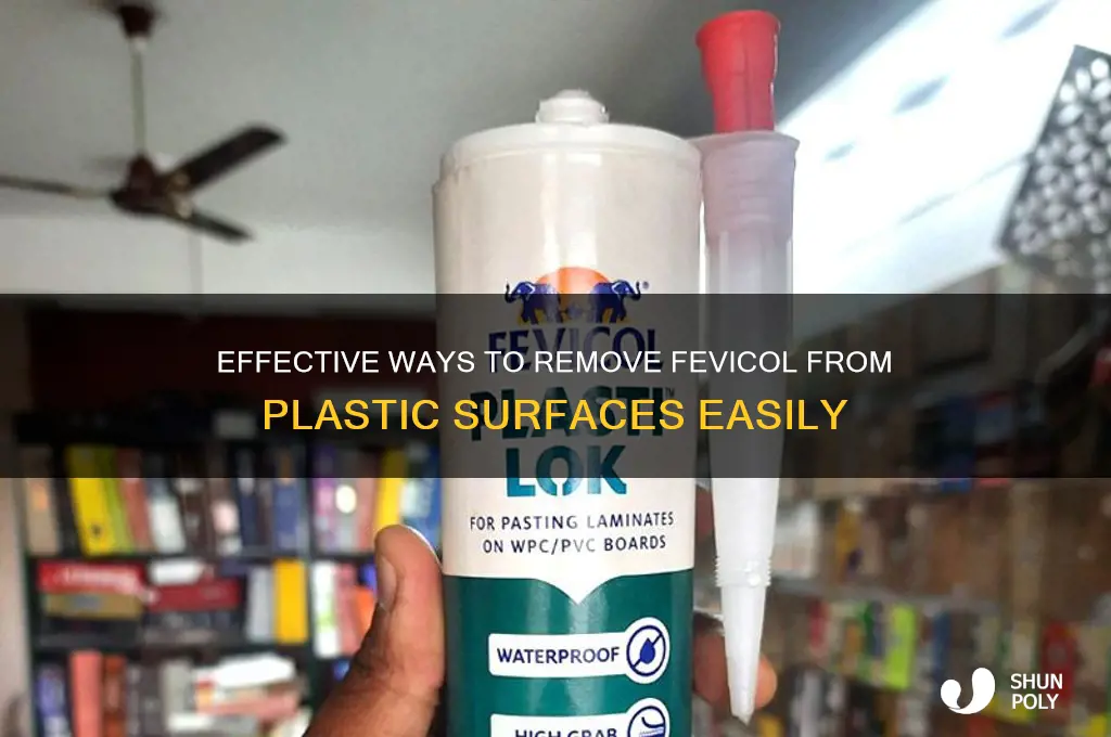how to remove fevicol from plastic