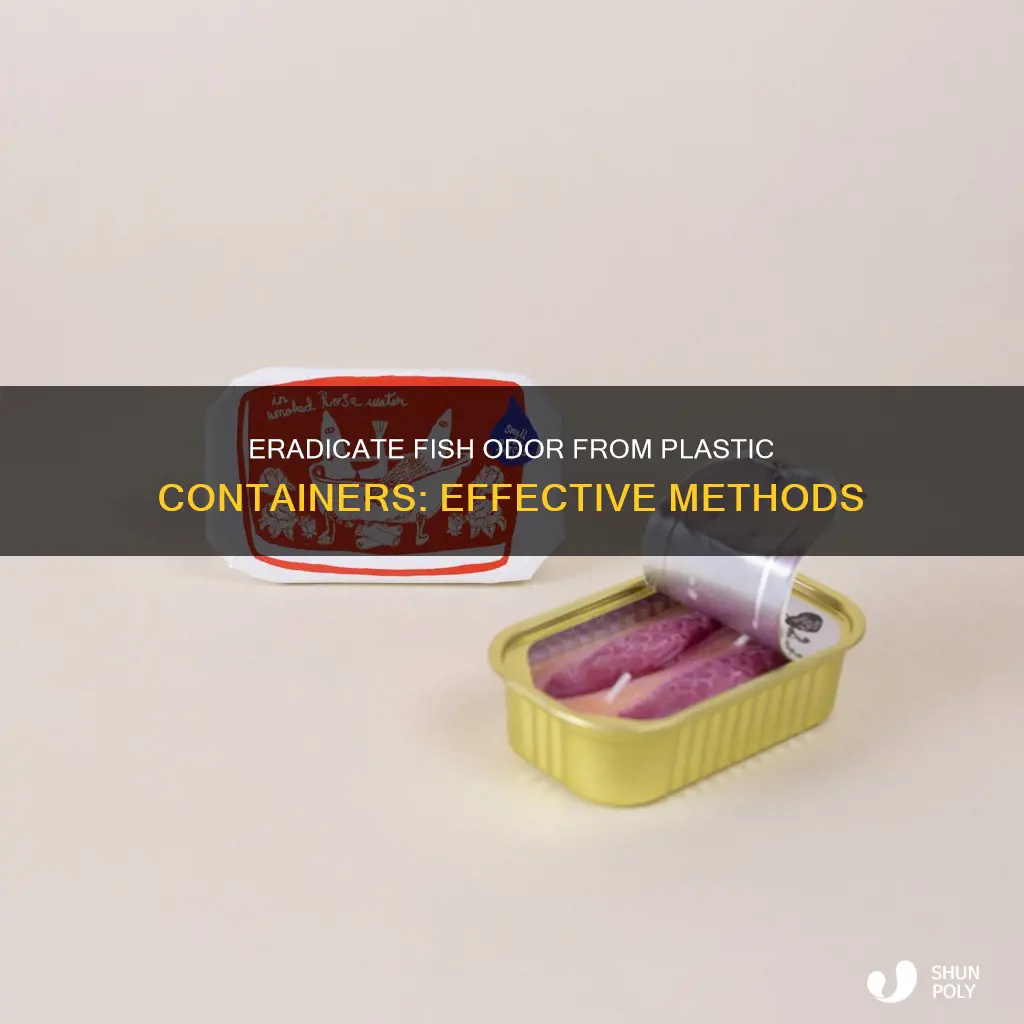 how to remove fish smell from plastic containers