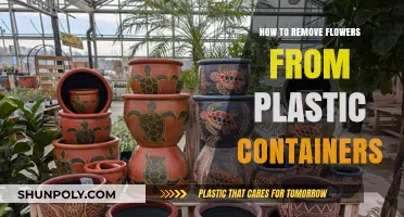 Extracting Flowers from Plastic Containers: Easy Steps