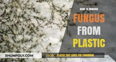 Effective Ways to Eliminate Fungus from Plastic Surfaces Easily