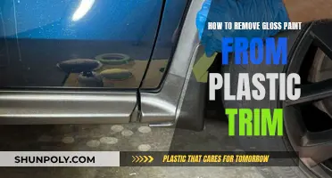 Removing Gloss Paint: Restoring Plastic Trim
