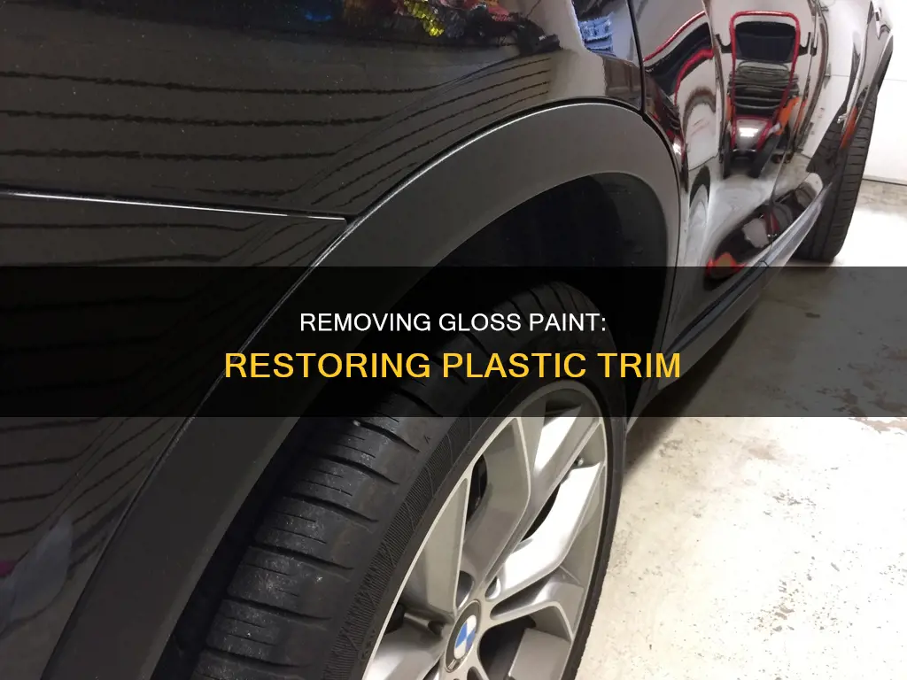 how to remove gloss paint from plastic trim