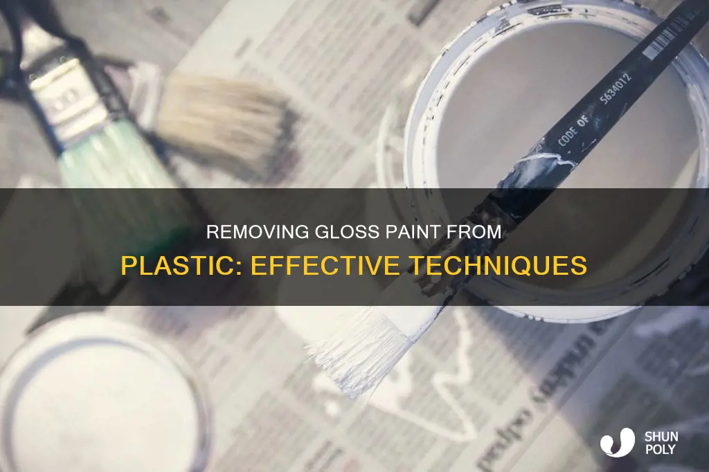 how to remove gloss paint from plastic