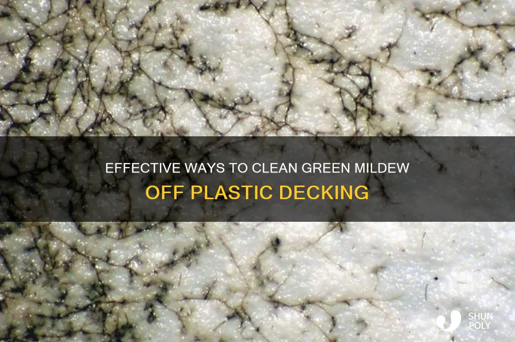 how to remove green mildew from plastic deck