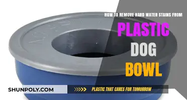 Effective Ways to Remove Hard Water Stains from Plastic Dog Bowls