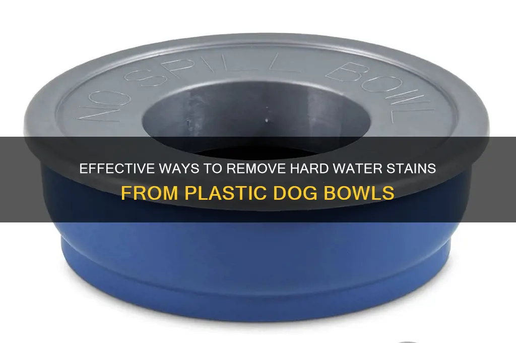 how to remove hard water stains from plastic dog bowl