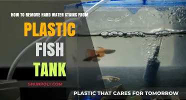 Effective Ways to Remove Hard Water Stains from Plastic Fish Tanks